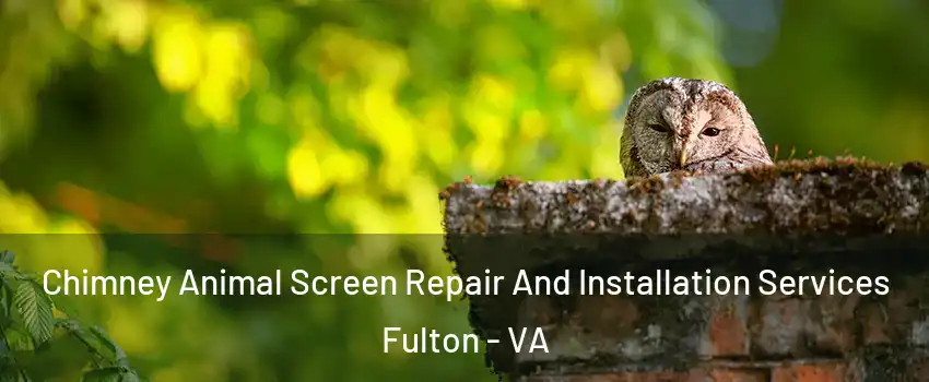 Chimney Animal Screen Repair And Installation Services Fulton - VA