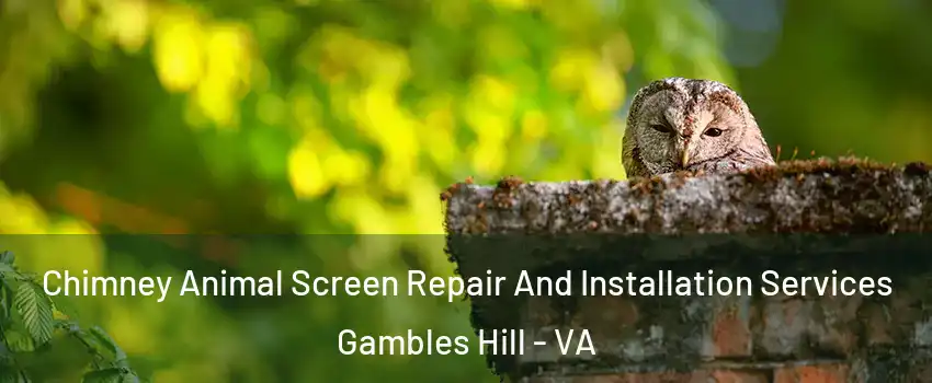 Chimney Animal Screen Repair And Installation Services Gambles Hill - VA