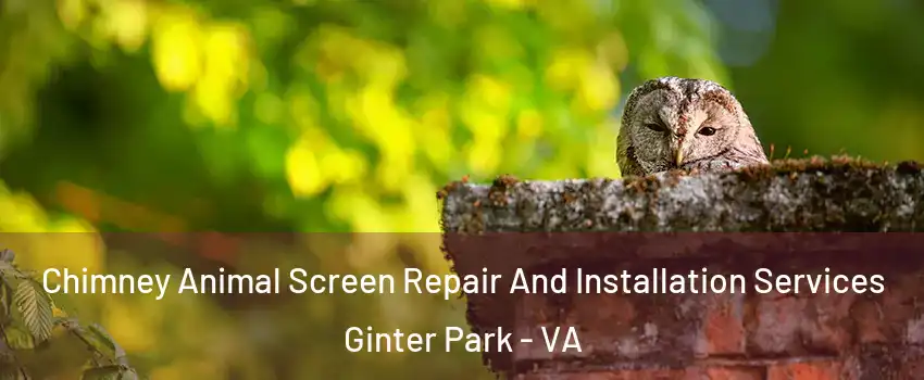 Chimney Animal Screen Repair And Installation Services Ginter Park - VA