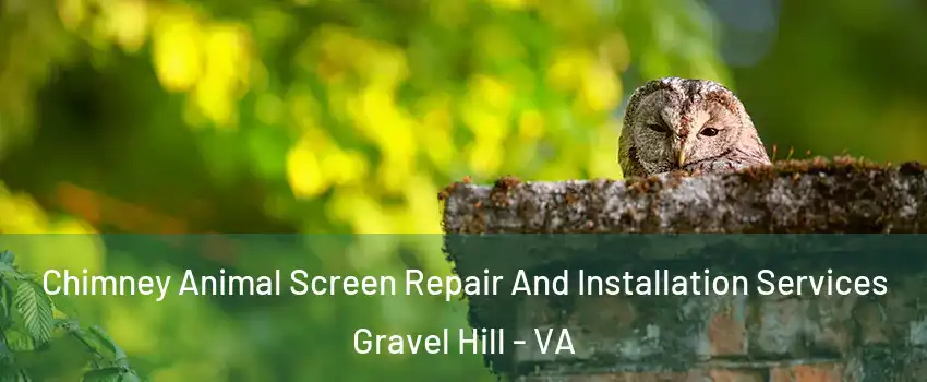 Chimney Animal Screen Repair And Installation Services Gravel Hill - VA