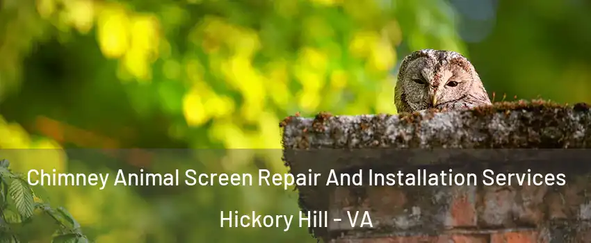 Chimney Animal Screen Repair And Installation Services Hickory Hill - VA