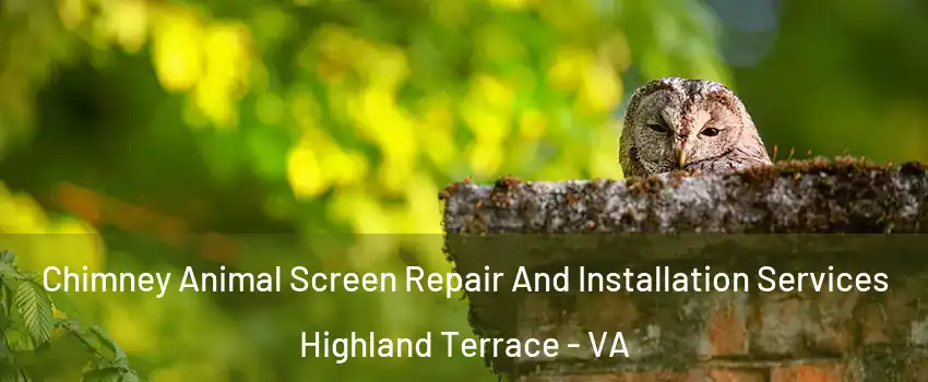 Chimney Animal Screen Repair And Installation Services Highland Terrace - VA