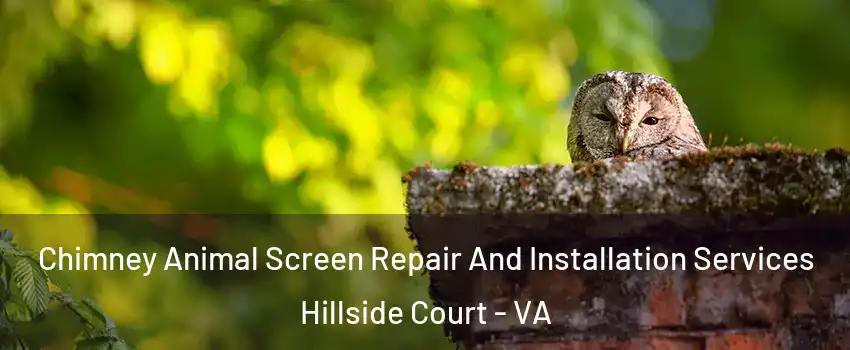 Chimney Animal Screen Repair And Installation Services Hillside Court - VA