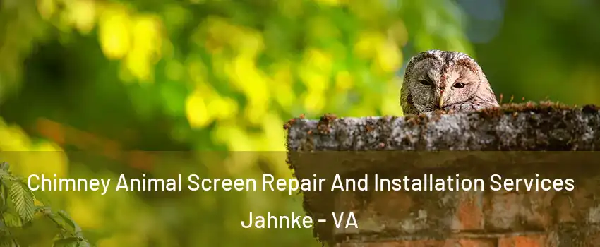 Chimney Animal Screen Repair And Installation Services Jahnke - VA