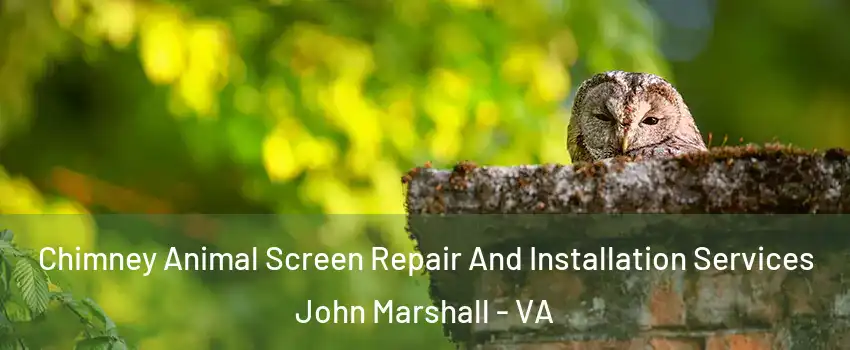 Chimney Animal Screen Repair And Installation Services John Marshall - VA