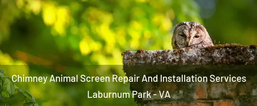 Chimney Animal Screen Repair And Installation Services Laburnum Park - VA