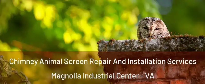 Chimney Animal Screen Repair And Installation Services Magnolia Industrial Center - VA