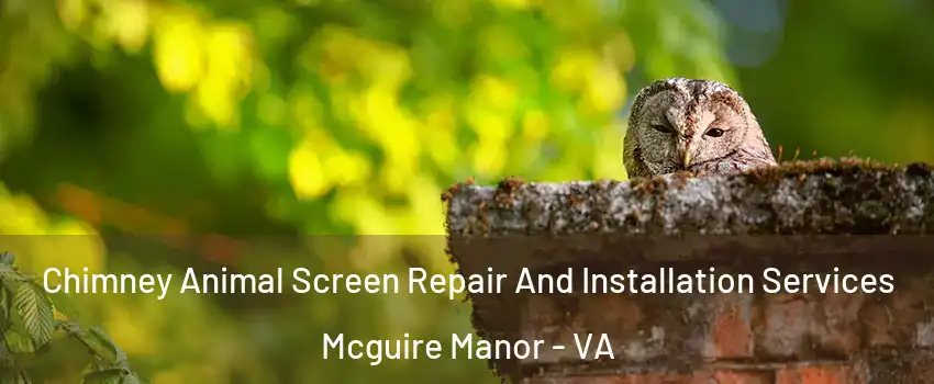 Chimney Animal Screen Repair And Installation Services Mcguire Manor - VA