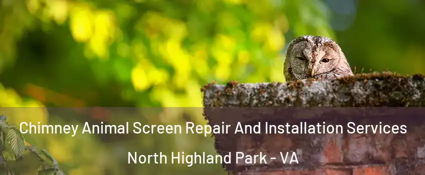 Chimney Animal Screen Repair And Installation Services North Highland Park - VA