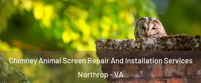 Chimney Animal Screen Repair And Installation Services Northrop - VA