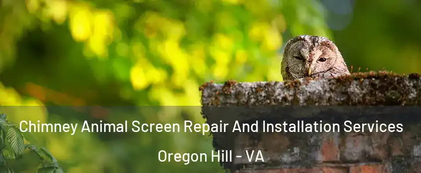 Chimney Animal Screen Repair And Installation Services Oregon Hill - VA