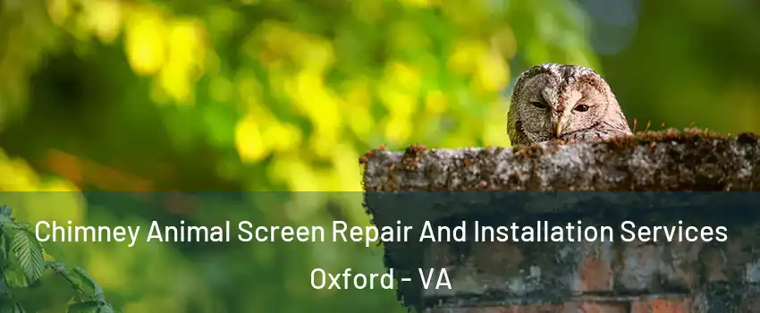 Chimney Animal Screen Repair And Installation Services Oxford - VA