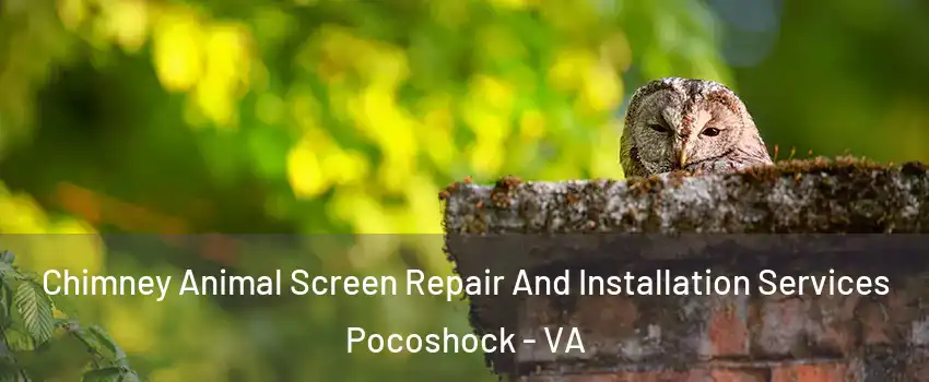 Chimney Animal Screen Repair And Installation Services Pocoshock - VA