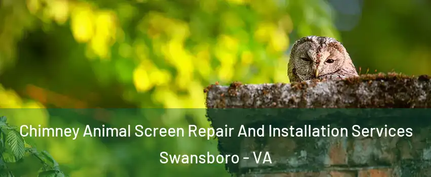 Chimney Animal Screen Repair And Installation Services Swansboro - VA