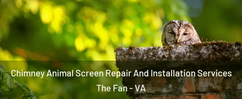 Chimney Animal Screen Repair And Installation Services The Fan - VA