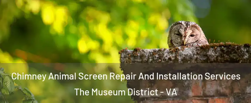 Chimney Animal Screen Repair And Installation Services The Museum District - VA