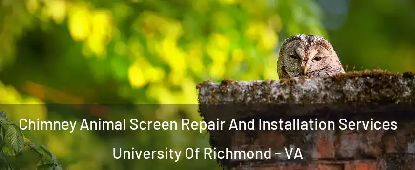 Chimney Animal Screen Repair And Installation Services University Of Richmond - VA