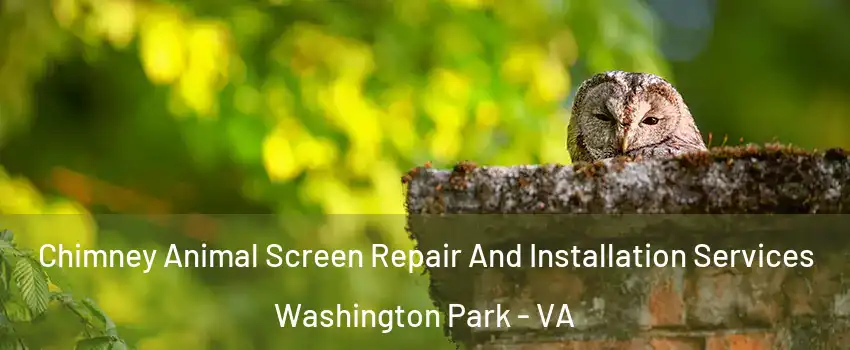 Chimney Animal Screen Repair And Installation Services Washington Park - VA