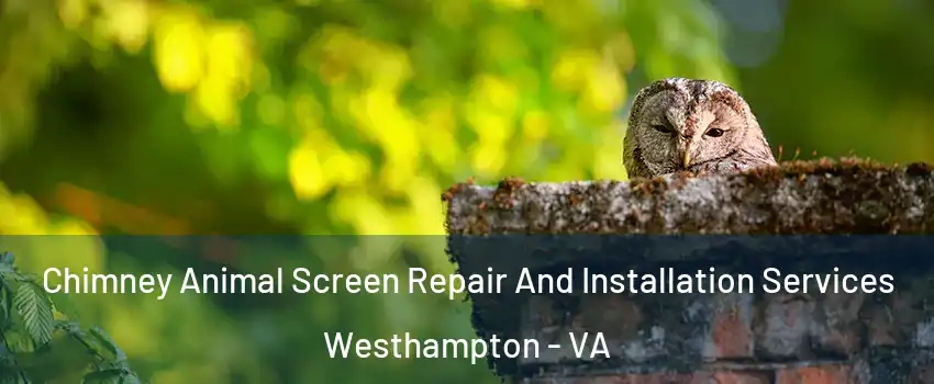 Chimney Animal Screen Repair And Installation Services Westhampton - VA