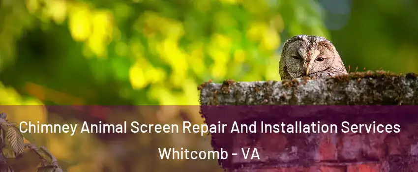 Chimney Animal Screen Repair And Installation Services Whitcomb - VA