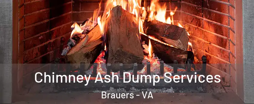 Chimney Ash Dump Services Brauers - VA