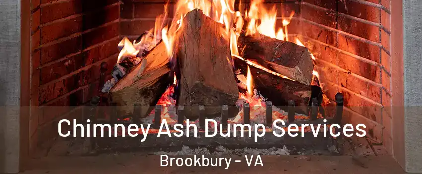 Chimney Ash Dump Services Brookbury - VA