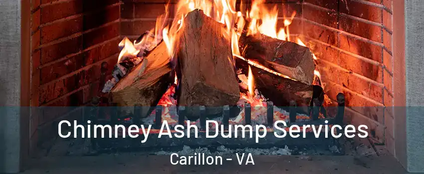 Chimney Ash Dump Services Carillon - VA