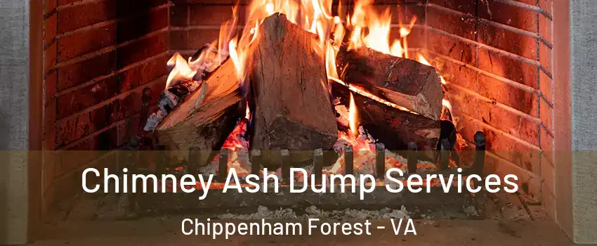 Chimney Ash Dump Services Chippenham Forest - VA