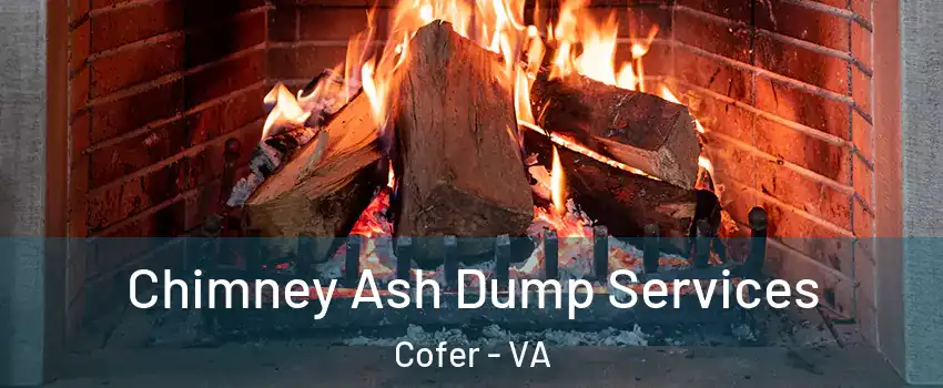 Chimney Ash Dump Services Cofer - VA