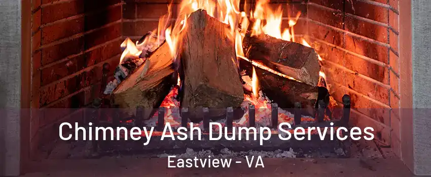 Chimney Ash Dump Services Eastview - VA