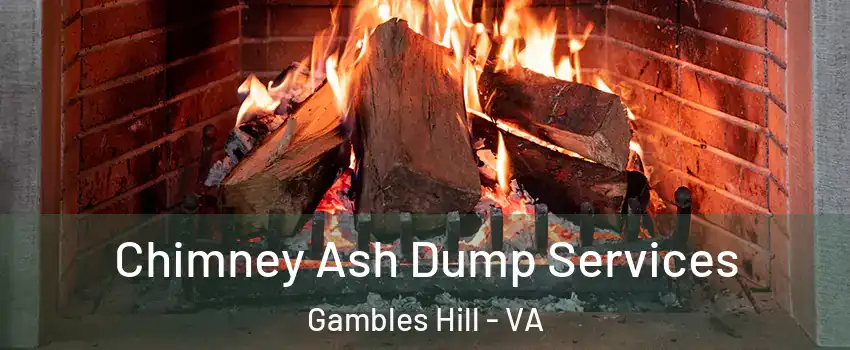 Chimney Ash Dump Services Gambles Hill - VA