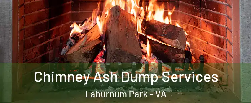 Chimney Ash Dump Services Laburnum Park - VA