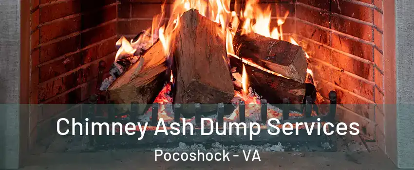 Chimney Ash Dump Services Pocoshock - VA