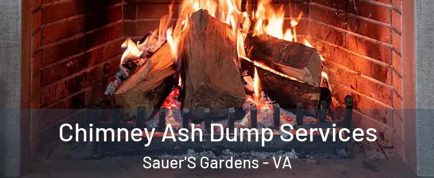 Chimney Ash Dump Services Sauer'S Gardens - VA