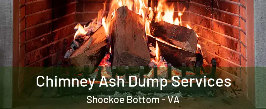 Chimney Ash Dump Services Shockoe Bottom - VA