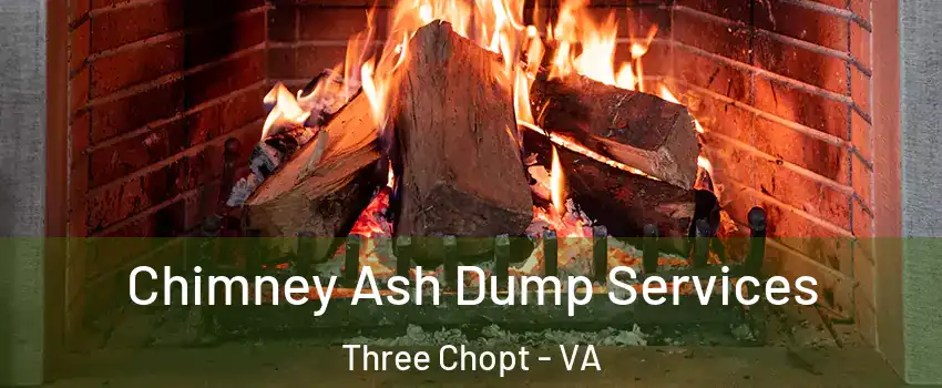 Chimney Ash Dump Services Three Chopt - VA