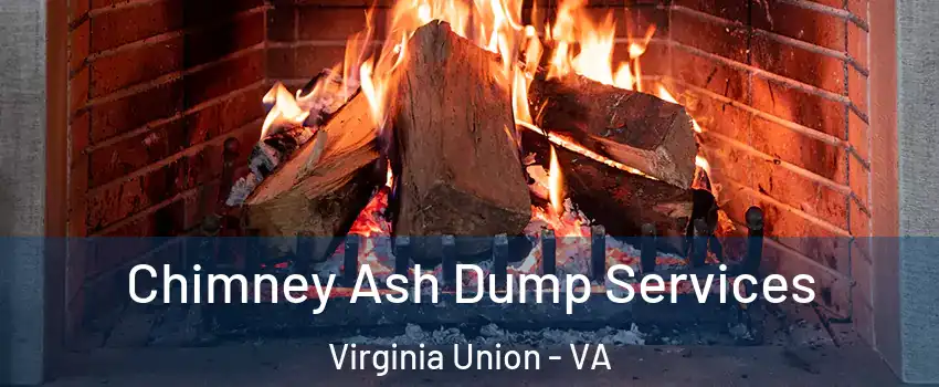 Chimney Ash Dump Services Virginia Union - VA