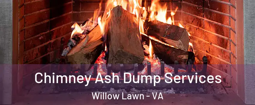 Chimney Ash Dump Services Willow Lawn - VA