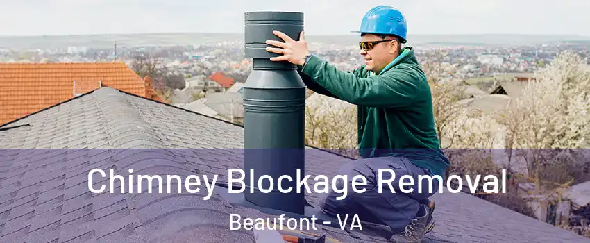 Chimney Blockage Removal Beaufont - VA