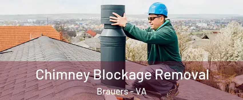 Chimney Blockage Removal Brauers - VA