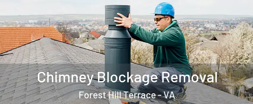 Chimney Blockage Removal Forest Hill Terrace - VA