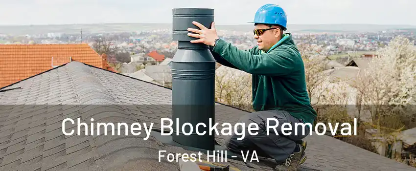 Chimney Blockage Removal Forest Hill - VA