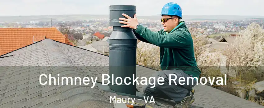 Chimney Blockage Removal Maury - VA