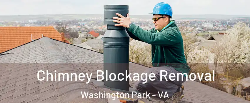 Chimney Blockage Removal Washington Park - VA