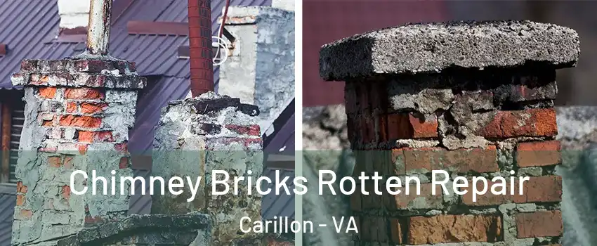 Chimney Bricks Rotten Repair Carillon - VA