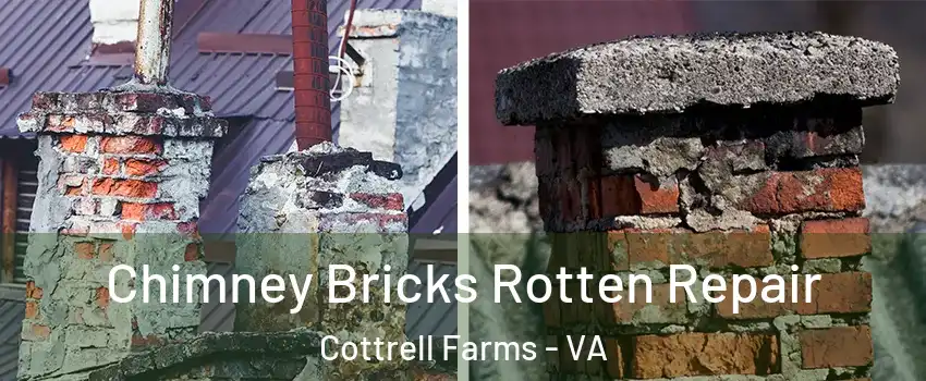 Chimney Bricks Rotten Repair Cottrell Farms - VA