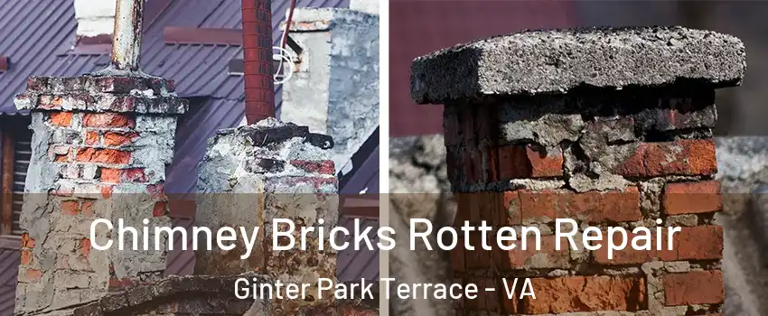 Chimney Bricks Rotten Repair Ginter Park Terrace - VA