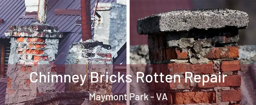 Chimney Bricks Rotten Repair Maymont Park - VA