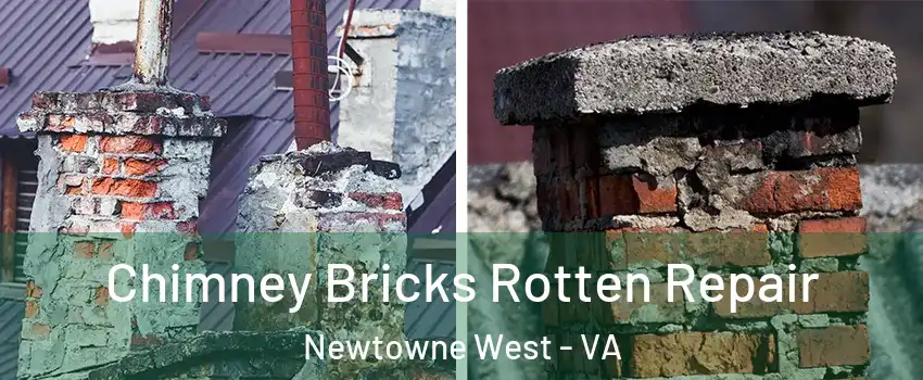 Chimney Bricks Rotten Repair Newtowne West - VA