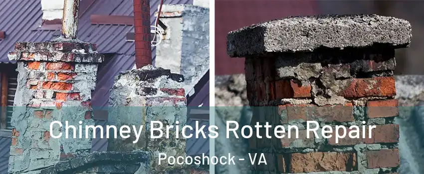 Chimney Bricks Rotten Repair Pocoshock - VA